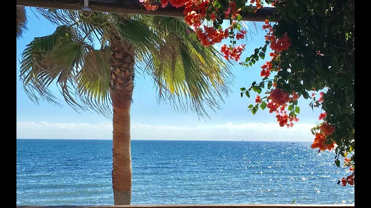 Mi Capricho 9C Beachfront- Apartment With Sea View - Costa Del Sol 卡拉德米哈斯